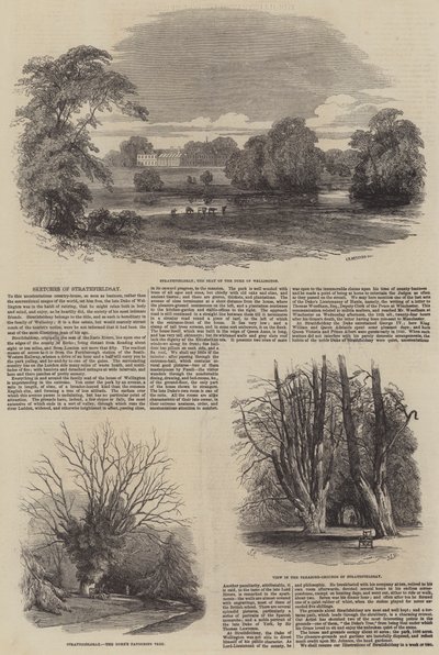 Bocetos de Strathfieldsay de Samuel Read